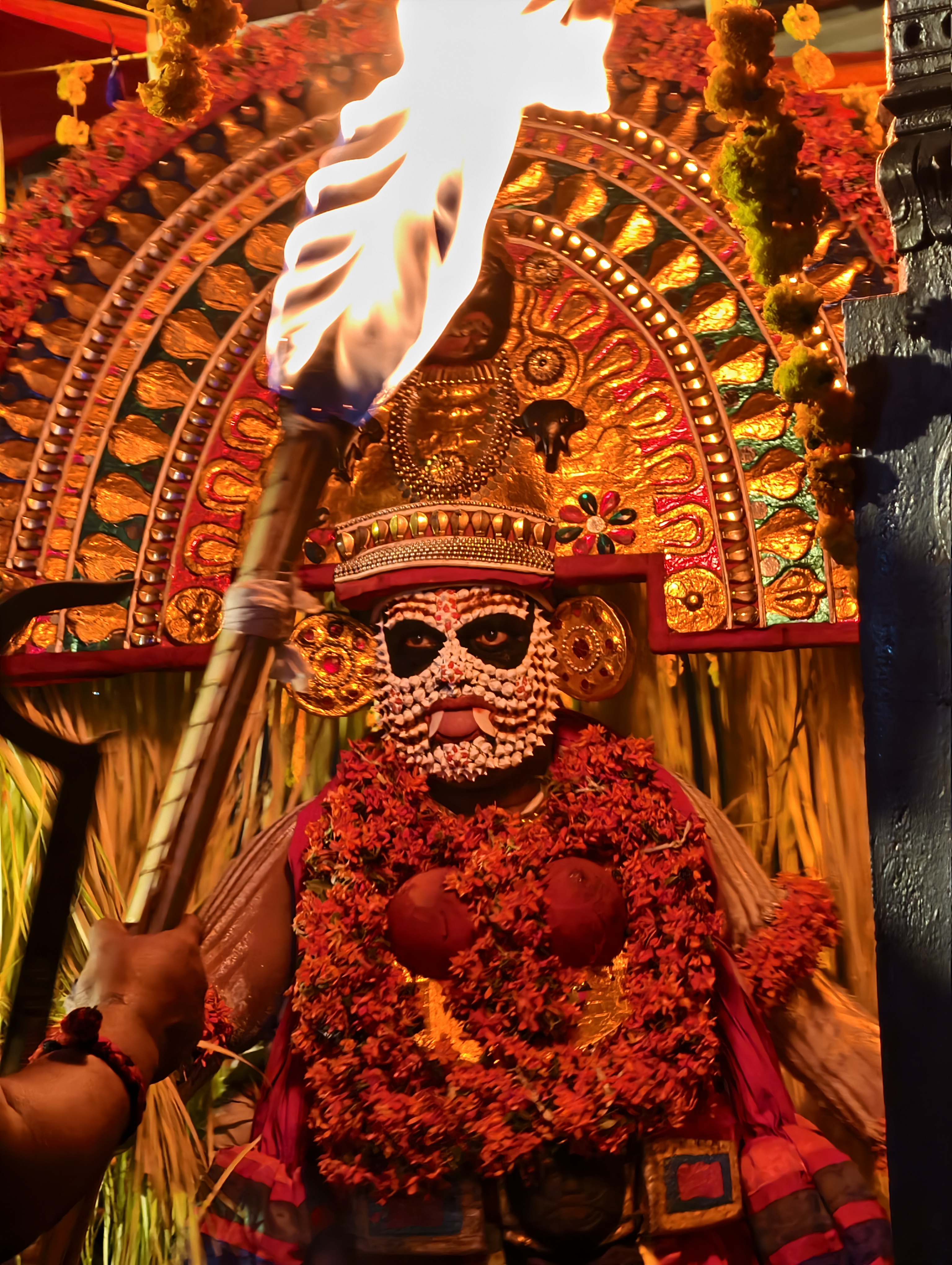 Festival Image 2